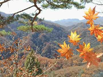 数字化转型，医药信息化咨询的机会与挑战
